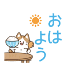 とびだす！ゆるかわにゃんこズ (デカ文字)（個別スタンプ：1）