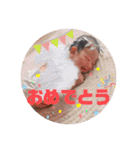 悠靖の気持ち（個別スタンプ：39）