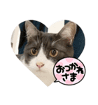 ひまわりのんた（個別スタンプ：2）