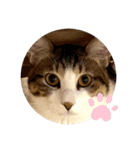 ひまわりのんた（個別スタンプ：8）