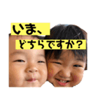 業務連絡はりん君こーちゃんにおまかせあれ（個別スタンプ：3）