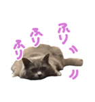 はちゅスタンプ3（個別スタンプ：6）