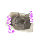 はちゅスタンプ3（個別スタンプ：7）