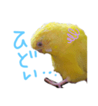 すけかく5（個別スタンプ：10）