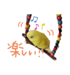 すけかく5（個別スタンプ：14）