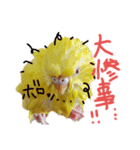 すけかく5（個別スタンプ：16）