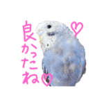 すけかく5（個別スタンプ：20）