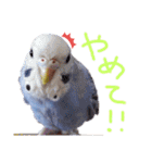 すけかく5（個別スタンプ：26）