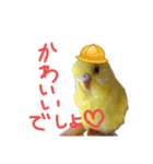 すけかく5（個別スタンプ：28）