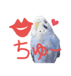 すけかく5（個別スタンプ：29）