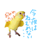 すけかく5（個別スタンプ：31）