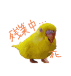 すけかく5（個別スタンプ：33）