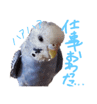 すけかく5（個別スタンプ：34）