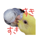 すけかく5（個別スタンプ：39）