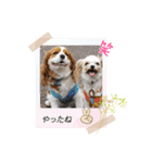 ムサシ＆くぅ秋（個別スタンプ：5）
