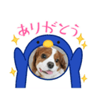 ムサシ＆くぅ秋（個別スタンプ：11）