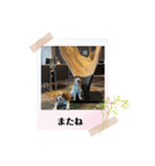 ムサシ＆くぅ秋（個別スタンプ：14）