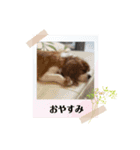 ムサシ＆くぅ秋（個別スタンプ：19）
