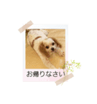 ムサシ＆くぅ秋（個別スタンプ：20）