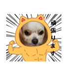 ムサシ＆くぅ秋（個別スタンプ：21）