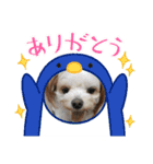 ムサシ＆くぅ秋（個別スタンプ：22）