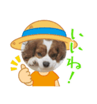 ムサシ＆くぅ秋（個別スタンプ：23）