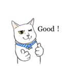 猫好きによるLINEスタンプ（個別スタンプ：1）