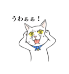 猫好きによるLINEスタンプ（個別スタンプ：3）