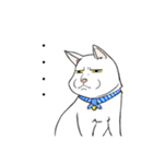 猫好きによるLINEスタンプ（個別スタンプ：8）