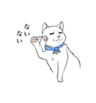 猫好きによるLINEスタンプ（個別スタンプ：9）