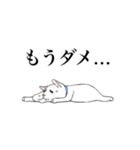 猫好きによるLINEスタンプ（個別スタンプ：10）