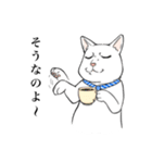 猫好きによるLINEスタンプ（個別スタンプ：11）