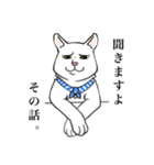 猫好きによるLINEスタンプ（個別スタンプ：12）