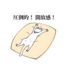 猫好きによるLINEスタンプ（個別スタンプ：16）