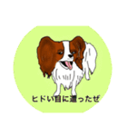 猛犬モモちゃんVer.2（個別スタンプ：14）