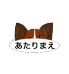 猛犬モモちゃんVer.2（個別スタンプ：30）