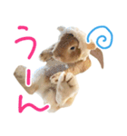 うさぎのロッタ（個別スタンプ：5）