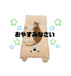 ちこの家族とおまけ（個別スタンプ：5）