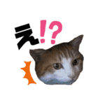 ちこの家族とおまけ（個別スタンプ：8）
