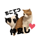 ちこの家族とおまけ（個別スタンプ：12）