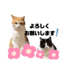 ちこの家族とおまけ（個別スタンプ：18）