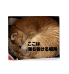ちこの家族とおまけ（個別スタンプ：23）