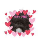 うさ＆ラビィ②（個別スタンプ：6）