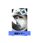 うさ＆ラビィ②（個別スタンプ：12）