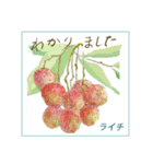ミチコばあば NO21  夏の果物（個別スタンプ：13）
