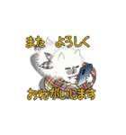 仲良しブチャ猫 - 真っ白ふわモフ ♬（個別スタンプ：23）