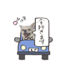 むぎくんのスタンプ（チワワ）（個別スタンプ：8）