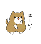 かわいい柴犬♥️「毎日使える！」（個別スタンプ：6）