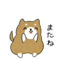 かわいい柴犬♥️「毎日使える！」（個別スタンプ：14）