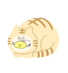 ヒヨコ系（個別スタンプ：3）